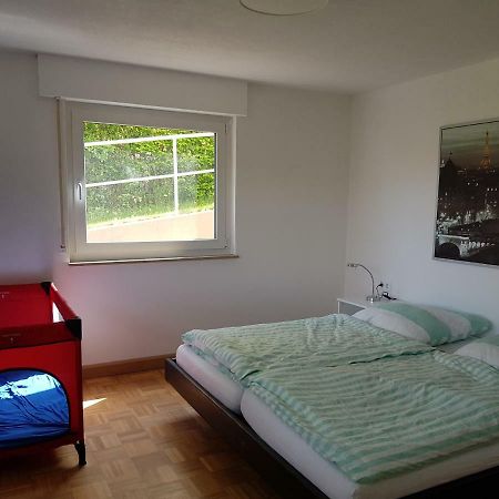 Ferien In Neuffen - Ferienwohnung Plaue エクステリア 写真