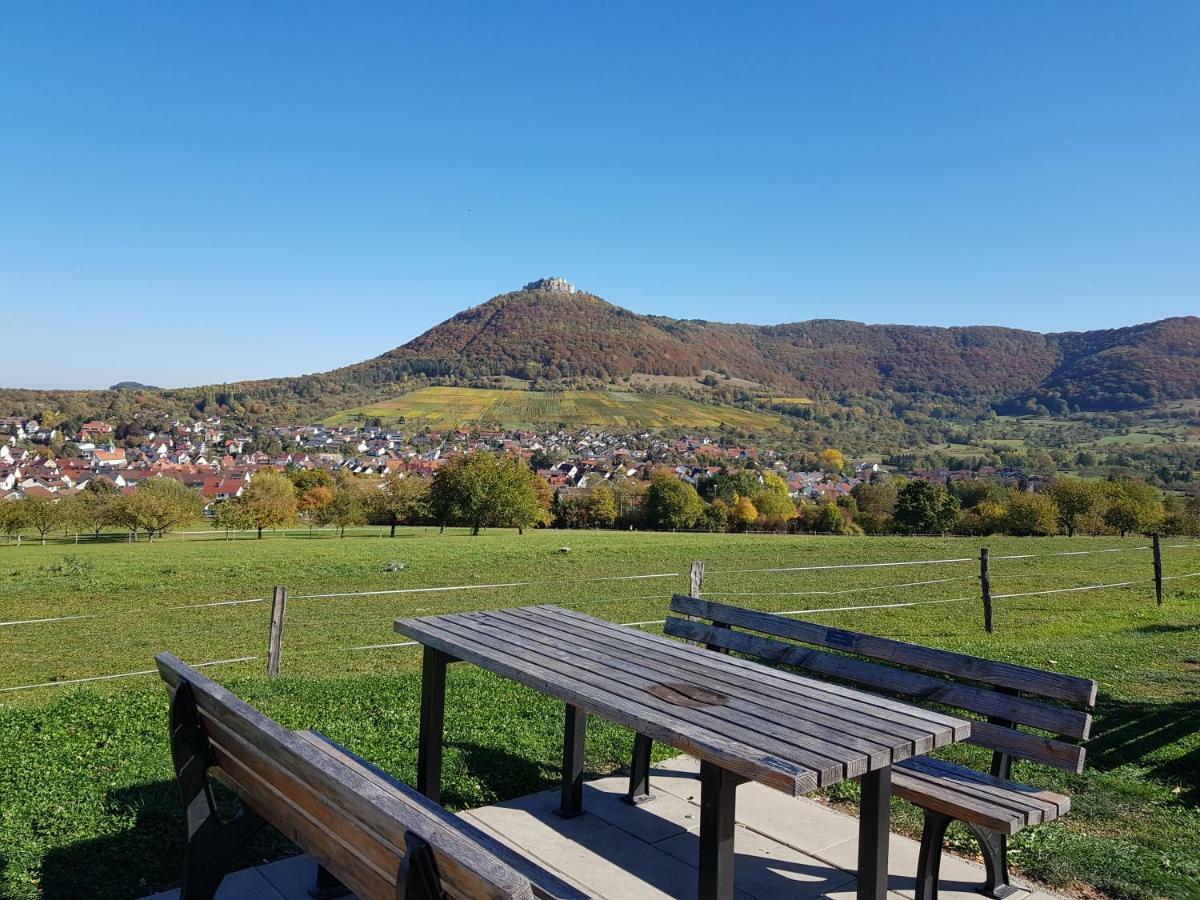 Ferien In Neuffen - Ferienwohnung Plaue エクステリア 写真